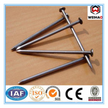 Building common wire nail, Construction Common nail iron nail factory